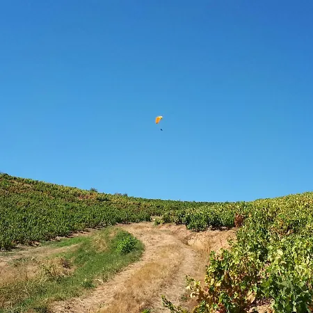 Le Mont Brouilly Quincié-en-Beaujolais
